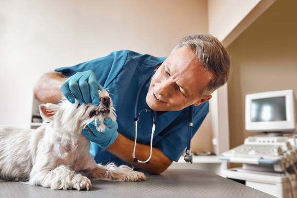 Best Weekend Emergency Dentist in Dunnellon, FL